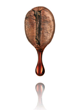 Drop of coffee dripping from coffee seed isolated on white backgroundの写真素材