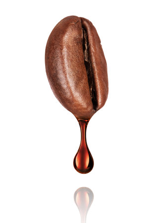 Drop of coffee dripping from coffee seed isolated on white backgroundの写真素材