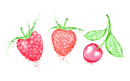 Berries made of water. Concept image isolated on white backgroundの写真素材