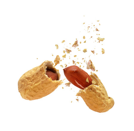 Dried peanut broken into two parts on white backgroundの写真素材