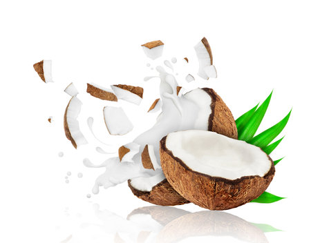 Broken coconut into two pieces with milk splashes, isolated on white backgroundの写真素材