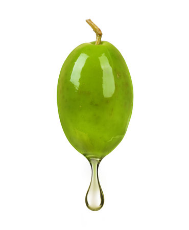 Green olive with a drop of oil close up on white backgroundの写真素材