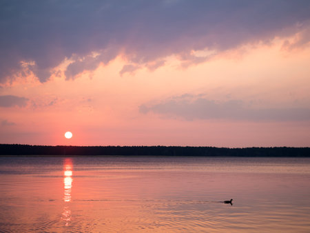 The sun rises over a quiet forest lakeの写真素材