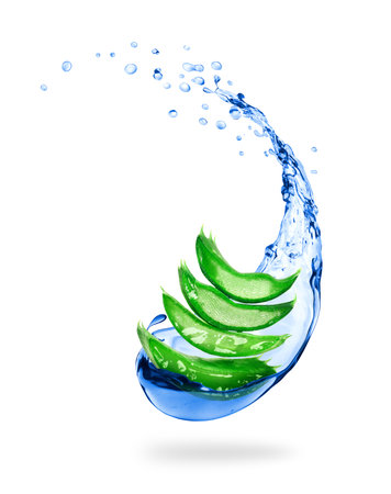 Juicy slices of aloe vera with water splashの写真素材