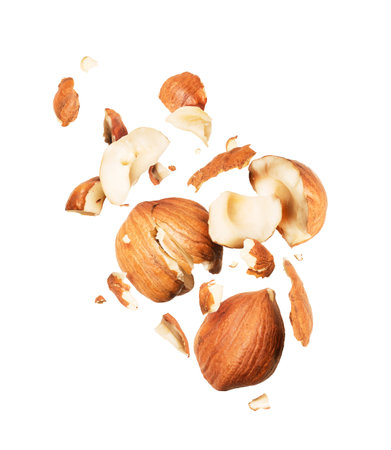 Hazelnuts crushed in the air, isolated on white backgroundの写真素材