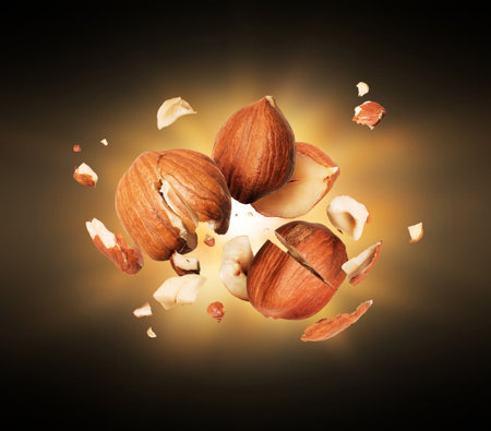 Hazelnuts is torn to pieces close-up in the darkの写真素材