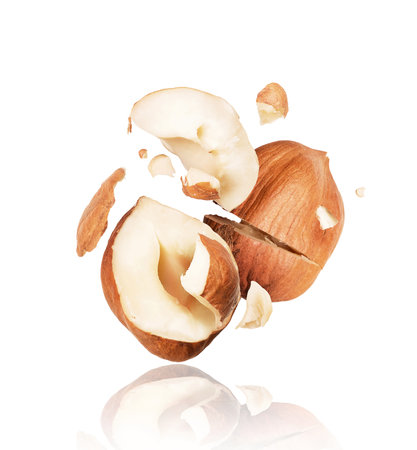 Cracked hazelnut close-up isolated on white backgroundの写真素材