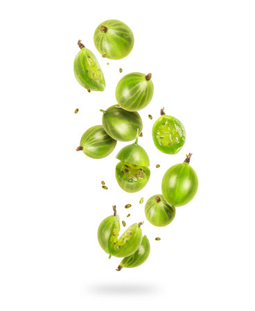 Whole and sliced gooseberries in the air on a white backgroundの写真素材