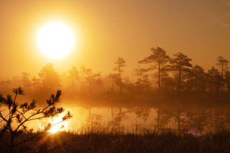 Misty sunrise over a forest lake in taigaの写真素材