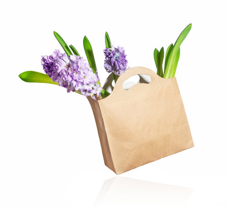 Hyacinths in a paper bag on a white backgroundの写真素材
