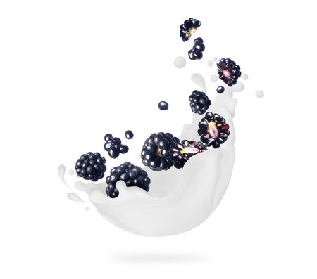 Blackberries with milk splashes close-up isolated on white backgroundの写真素材