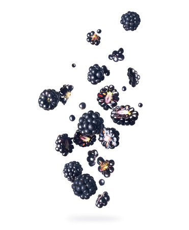 Ripe blackberries in the air close-up, isolated on a white backgroundの写真素材