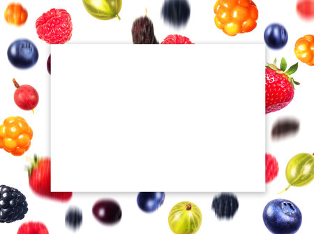 Various falling berries with space for inscription on a white backgroundの写真素材