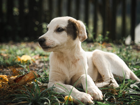 Beautiful is sitting and posing on camera