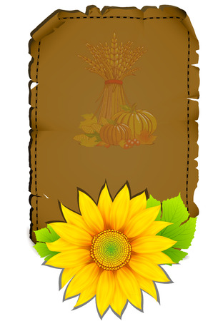 Sheet of parchment with sunflowerのイラスト素材