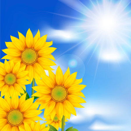 Sunflowers against the skyのイラスト素材