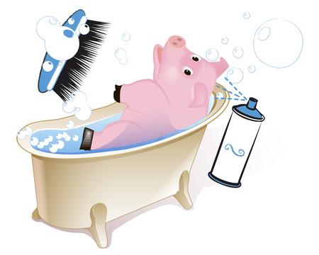 Swimming pigs. Muddy pig in the bathroom. Wash off all dirt.のイラスト素材
