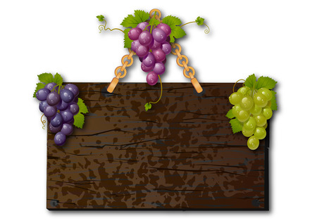 Grapes on a plate. Signboard with grapes. Panel to ads with grapes.のイラスト素材