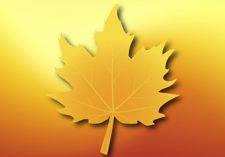 Yellow maple leaf on autumn background, vector art illustration.のイラスト素材