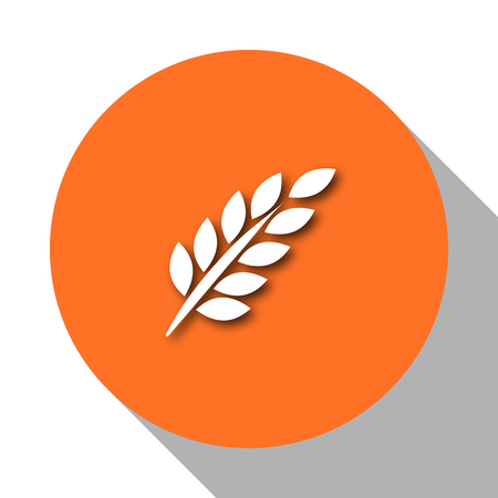 Illustration plants gluten, vector art illustration of grain.のイラスト素材