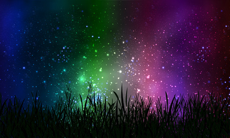 Grass on a background of the night sky Space, vector art illustration.のイラスト素材