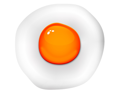 Isolated fried eggs, vector art illustration of an egg.のイラスト素材