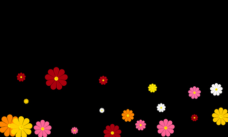 Multi-colored daisies on a blackのイラスト素材