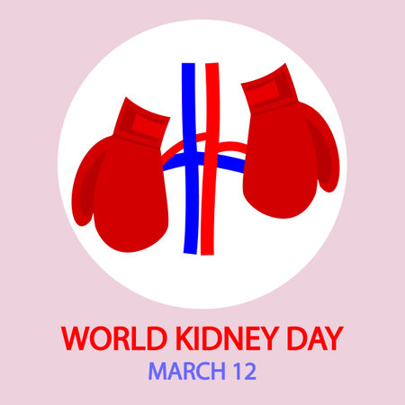 Kidney day world boxing gloves concept, vector art illustration.のイラスト素材