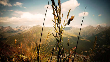 Aussicht, Panorama, Himmel Wiese Freiheit Wolken Hintergrundの写真素材