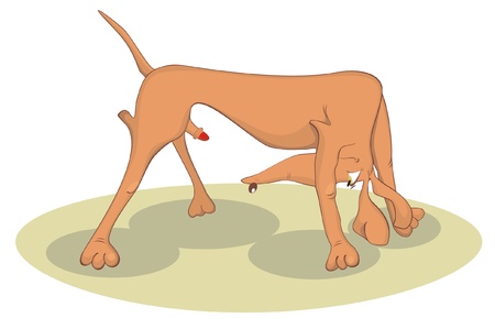 Ready for loveのイラスト素材