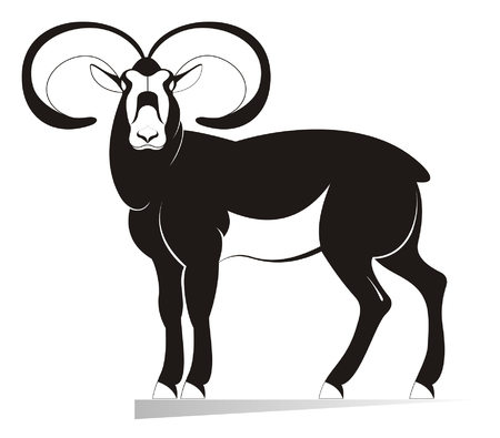 Ram original black on white illustration. Decor ram silhouette isolated on white illustrationのイラスト素材