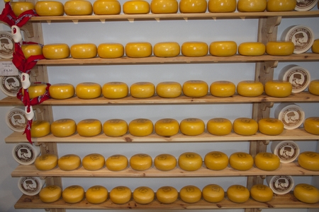 Cheeses on the shelfの写真素材
