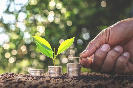 Hand giving a coin to a tree growing from pile In coin Money. Financial accounting, Investment Concept.の写真素材