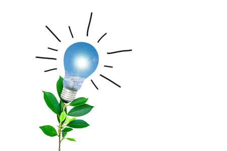 Tree with light bulbs on a white background Energy saving conceptの写真素材
