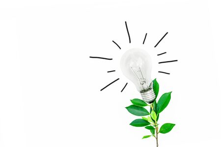Tree with light bulbs on a white background Energy saving conceptの写真素材