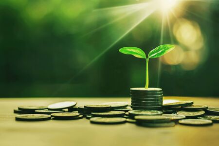 Stack coins with plants to grow into steps. Business growth conceptの写真素材