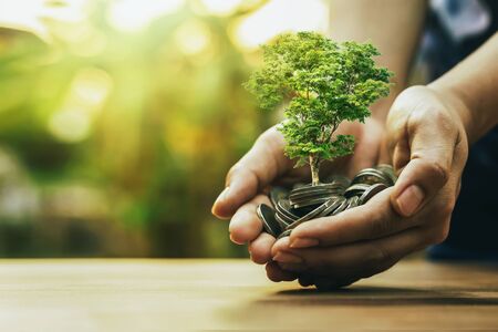 Planting crops on a pile of coins on hand Investment concepts in businessの写真素材