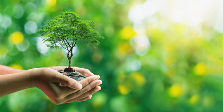 Planting crops on a pile of coins on hand Investment concepts in business