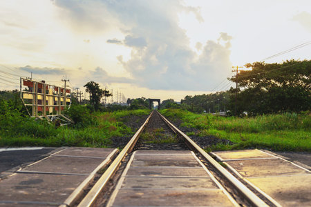 Rural train tracks with beautiful nature on both sides of the roadの写真素材