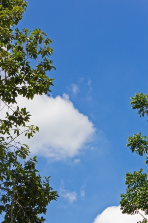 Nature of Blue and Cloudy Sky in a Bright Day.の写真素材