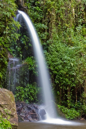 Monthatarn Waterfall on Doi-Su-Thep at Chiangmai, Thailand.の写真素材