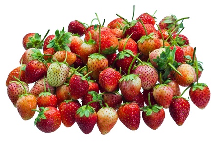 Pile of Young Strawberries on White Backgroundの写真素材