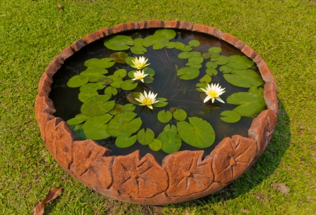 Lous Clayed Basin on the Green Grass Fleld.の写真素材