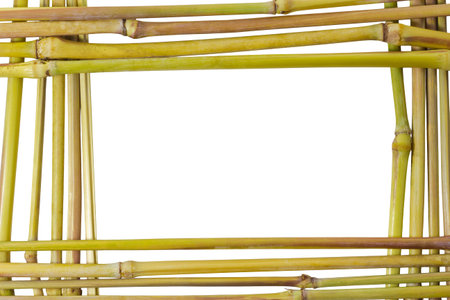 Nature Frame of weed plant stem isolated on white background and clipping pathの写真素材