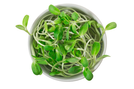Sunflower Sprouts in white bowl.の写真素材