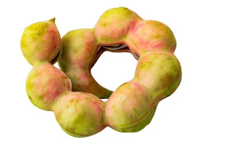 Single pod of 'Manila Tamarind' (Pithecellobium Dulce) on white background and clipping pathの写真素材