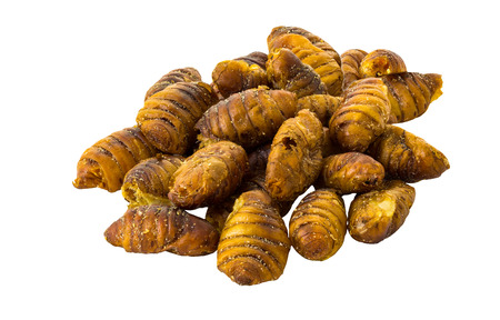 Salty fried worm pupa are popular as local Thai snackの写真素材