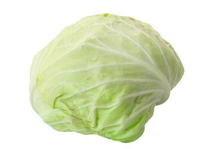 Green cabbage isolated on white background, clipping path includedの写真素材