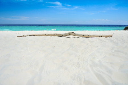 Log on Beachの写真素材