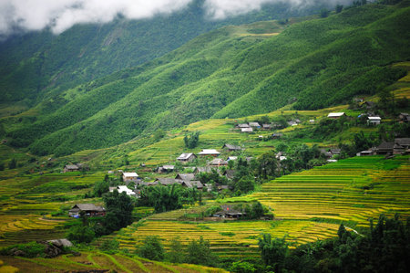 Small village with Rice terraces in Sapa Vietnamの写真素材